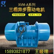 XV-40-6振动电机 XV惯性振动器