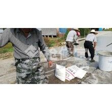 湖南湘西周边县镇农村公路起砂病害修补办法