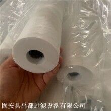 深度式过滤分离滤芯 聚酯纤维天然气滤芯