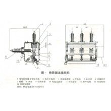 ZW20-12F户外用户分界智能断路器